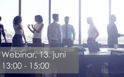 Rollen som styrerådgiver